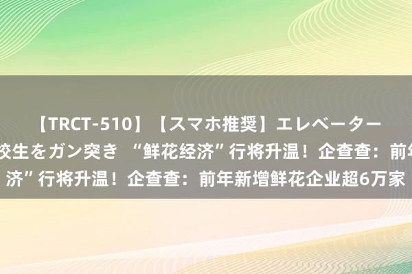 【TRCT-510】【スマホ推奨】エレベーターに挟まれたデカ尻女子校生をガン突き  “鲜花经济”行将升温！企查查：前年新增鲜花企业超6万家