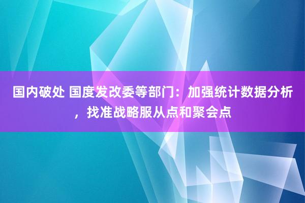 国内破处 国度发改委等部门：加强统计数据分析，找准战略服从点和聚会点