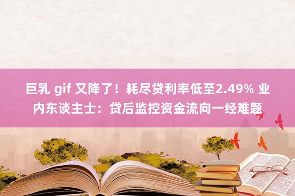 巨乳 gif 又降了！耗尽贷利率低至2.49% 业内东谈主士：贷后监控资金流向一经难题